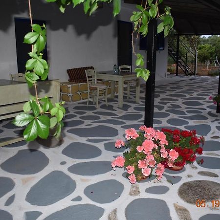 Villa Pigadia à Vromonérion Extérieur photo