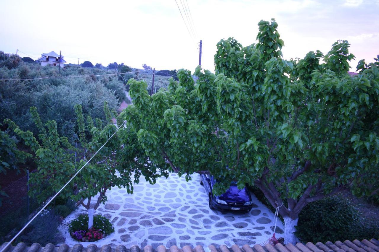 Villa Pigadia à Vromonérion Extérieur photo