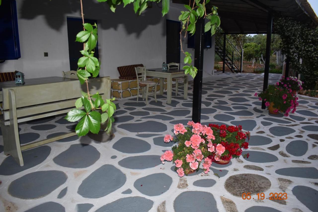 Villa Pigadia à Vromonérion Extérieur photo